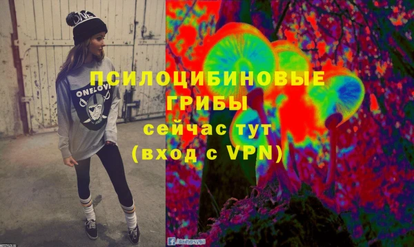 соль курить ск Бородино