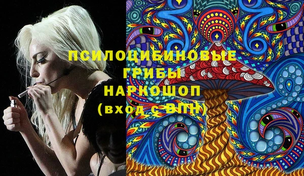 дурь Балахна