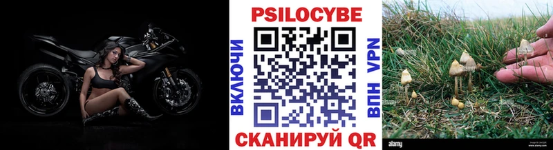 Псилоцибиновые грибы GOLDEN TEACHER  Купить закладки  Ижевск 
